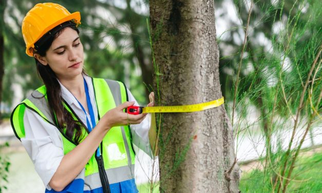 A környezetvédelem nem hobbi – a környezetvédelem és vízügy szakmák lehetőségei