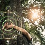 Zöld Magyarország – környezeti kihívások és megoldások a Tisza programjában