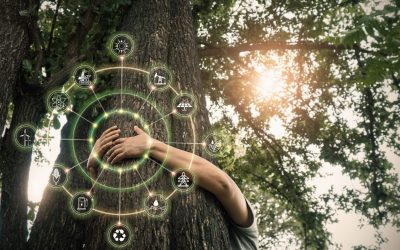 Zöld Magyarország – környezeti kihívások és megoldások a Tisza programjában