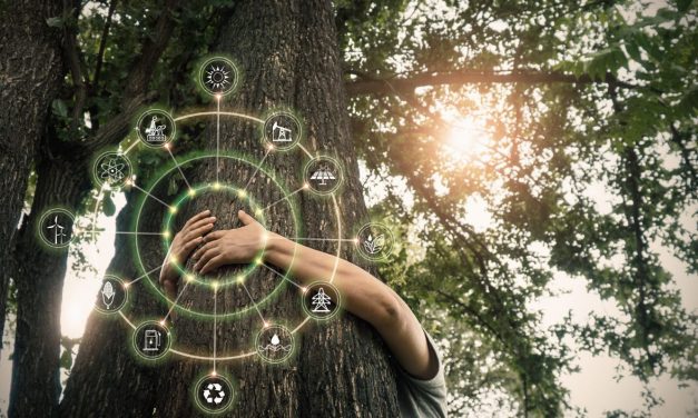 Zöld Magyarország – környezeti kihívások és megoldások a Tisza programjában