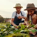 Ingyenes Szakmakóstoló táborok diákoknak – Traktor, sütés, állatok? Próbáld ki nyáron!