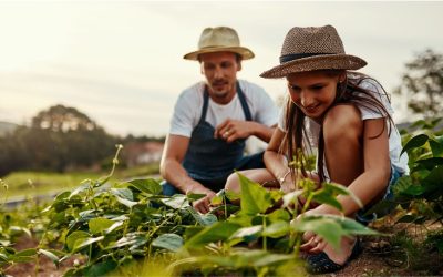 Ingyenes Szakmakóstoló táborok diákoknak – Traktor, sütés, állatok? Próbáld ki nyáron!