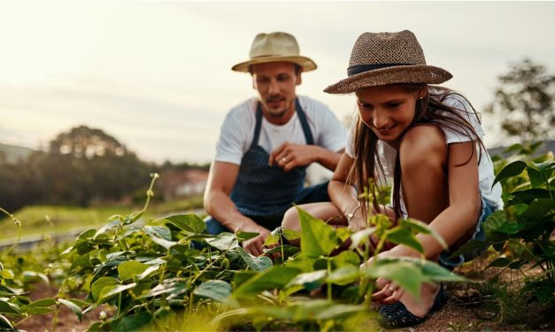 Ingyenes Szakmakóstoló táborok diákoknak – Traktor, sütés, állatok? Próbáld ki nyáron!