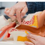 Fülilleszték készítő szakképesítés – mit érdemes tudni róla?