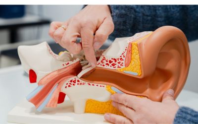 Fülilleszték készítő szakképesítés – mit érdemes tudni róla?