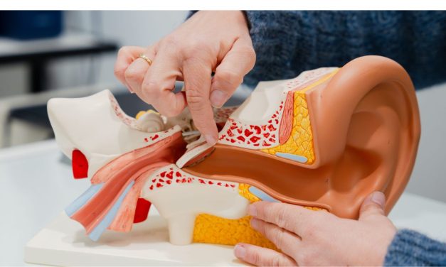 Fülilleszték készítő szakképesítés – mit érdemes tudni róla?