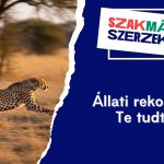 Állati rekordok – Te tudtad?