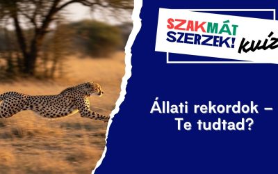 Állati rekordok – Te tudtad?