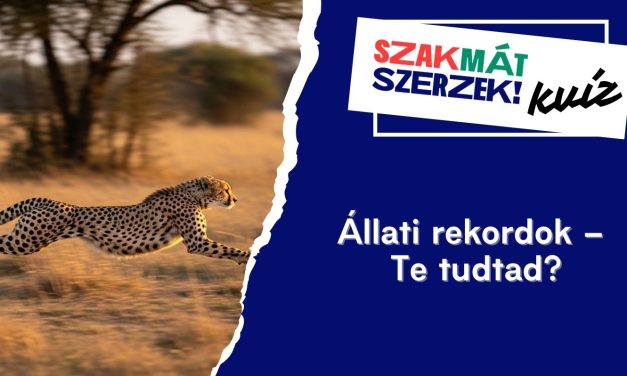 Állati rekordok – Te tudtad?