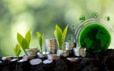 Nem érzik magukat döntési helyzetben – Egyetemisták környezettudatossága az UNIside és a Siemens közös kutatásában