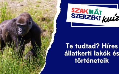 Te tudtad? Híres állatkerti lakók és történeteik