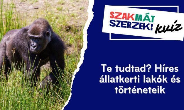 Te tudtad? Híres állatkerti lakók és történeteik