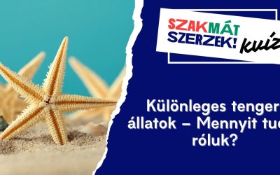 Különleges tengeri állatok – Mennyit tudsz róluk?