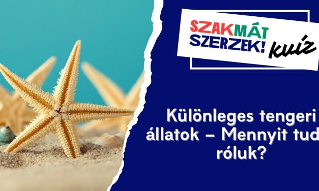 Különleges tengeri állatok – Mennyit tudsz róluk?