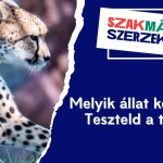 Melyik állat képes erre? Teszteld a tudásod!