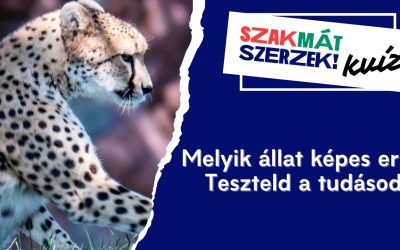 Melyik állat képes erre? Teszteld a tudásod!