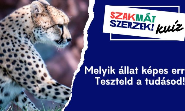 Melyik állat képes erre? Teszteld a tudásod!