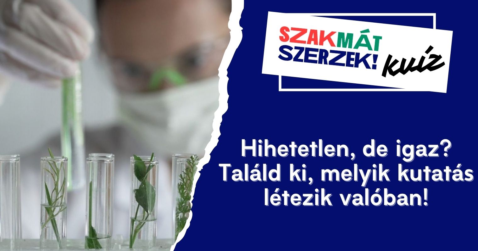 SzSz_kvíz
