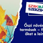 Őszi növények és termések – felismered őket a leírásból?