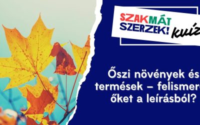 Őszi növények és termések – felismered őket a leírásból?
