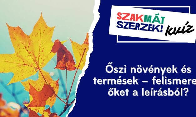 Őszi növények és termések – felismered őket a leírásból?