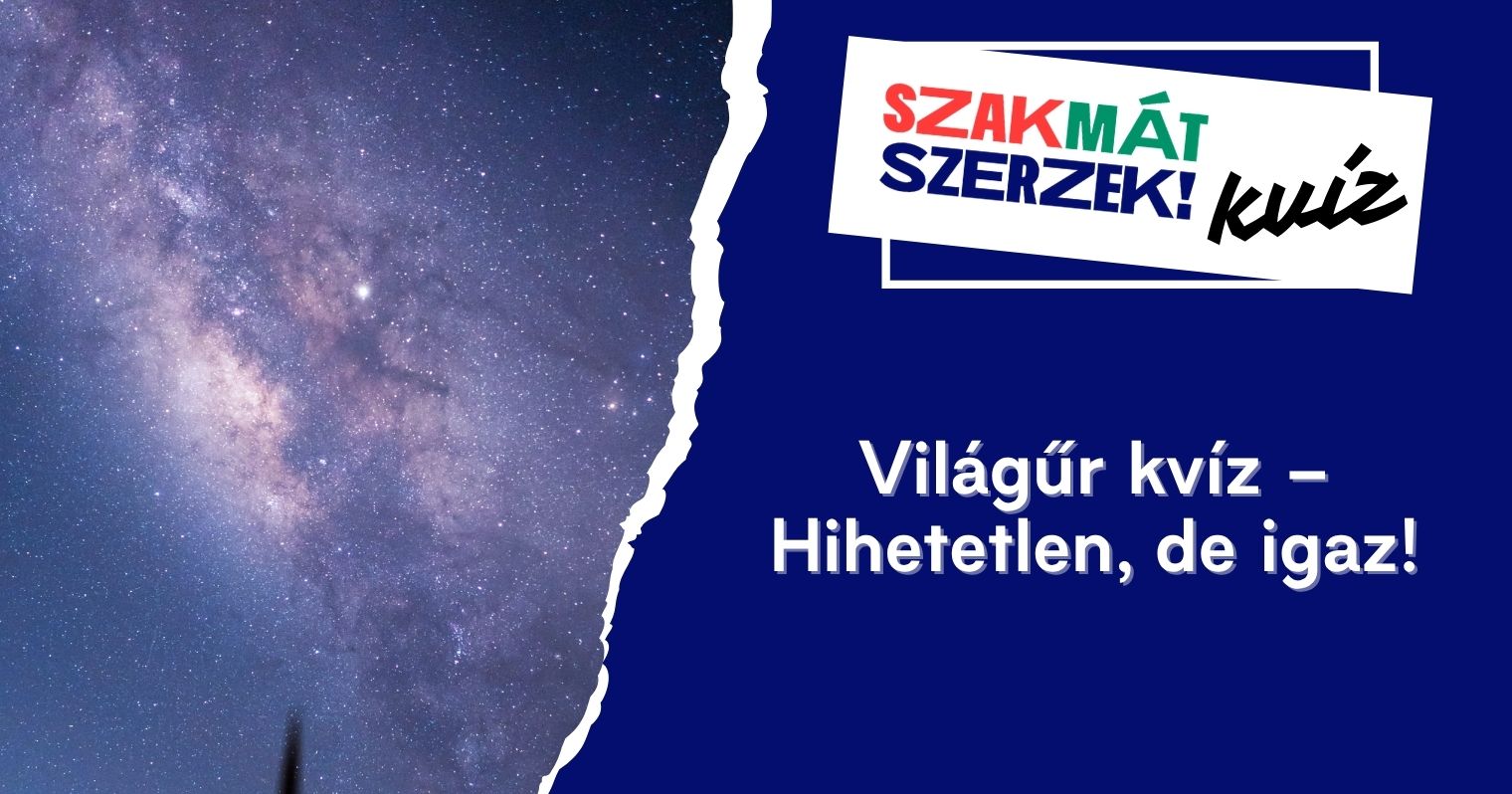 vilagur-kviz